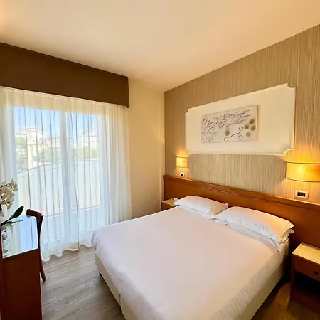 酒店 亚历山大酒店