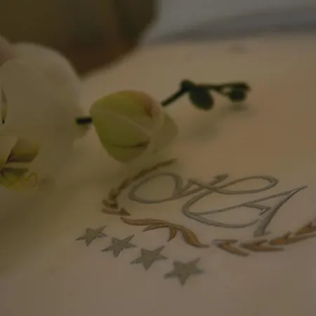 Alexander 4*